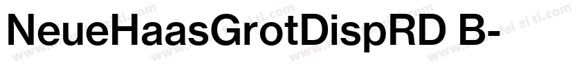 NeueHaasGrotDispRD B字体转换